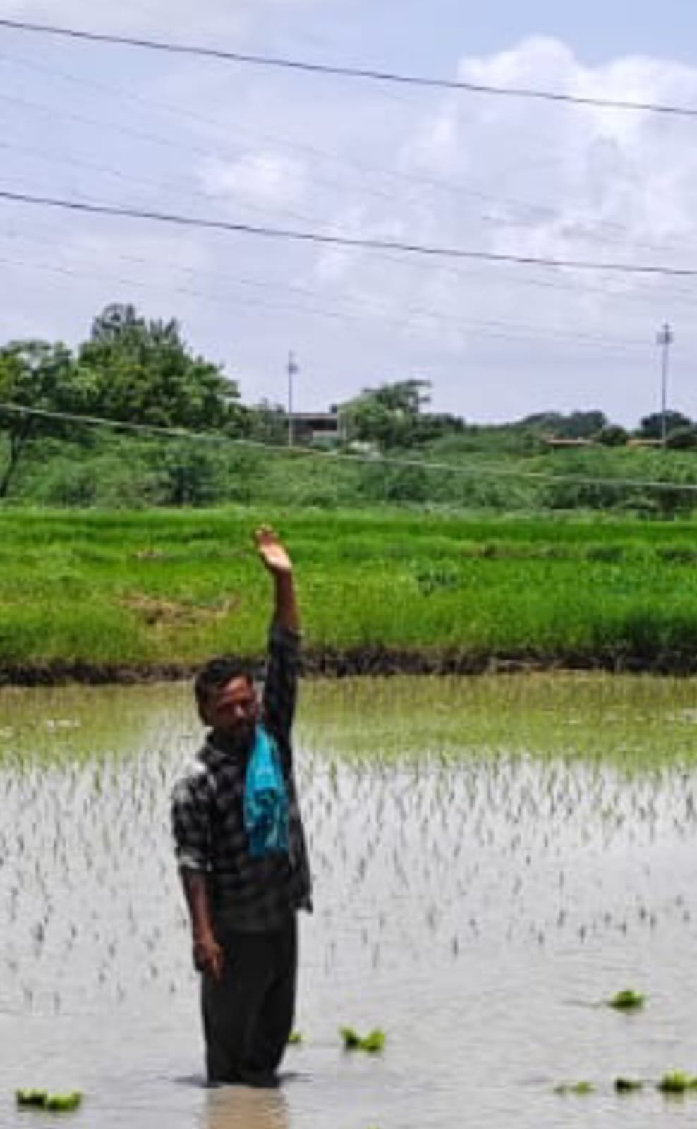 ఆందోళన చెందుతున్న రైతు పట్టించుకోని  అధికారులు